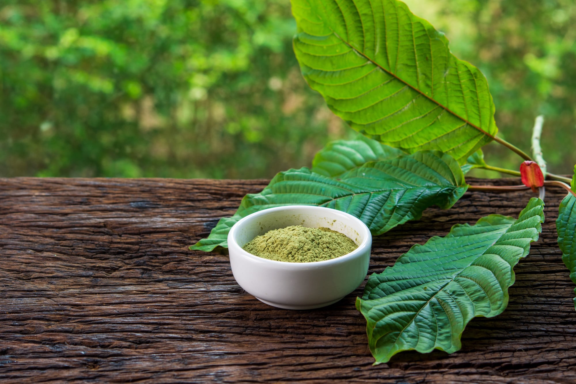 How Kratom Ruined My Life – Know the reality