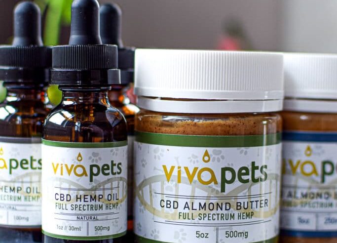 Learn Now That What Is The Best CBD For Your Dogs?