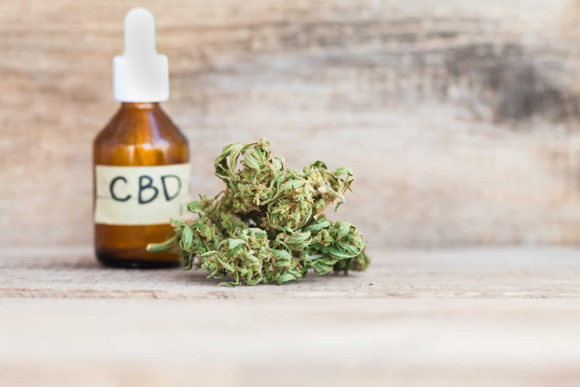 CBD Oil- Chronicling Pain Issue